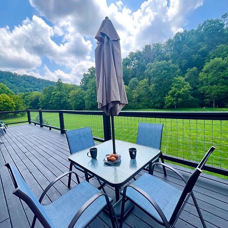 Firefly Fields 2-Acres With Guest House, Game Room, Mountain & River Views Севьервилл Экстерьер фото