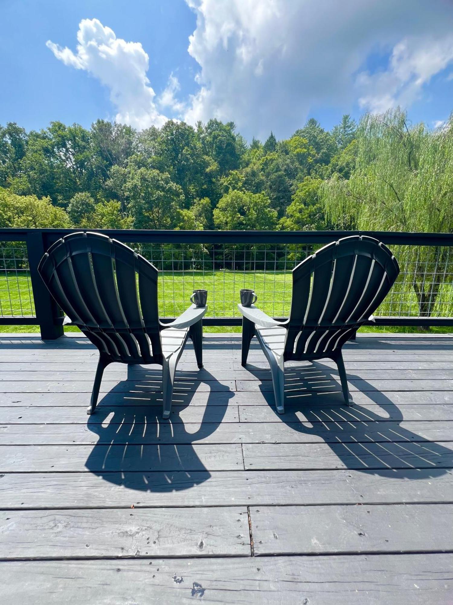 Firefly Fields 2-Acres With Guest House, Game Room, Mountain & River Views Севьервилл Экстерьер фото